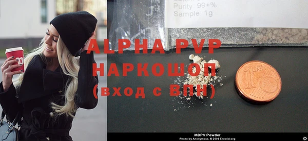 крисы Ельня