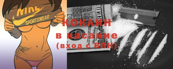 крисы Ельня