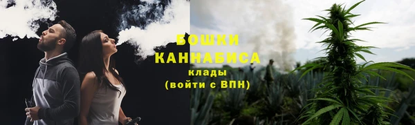 крисы Ельня