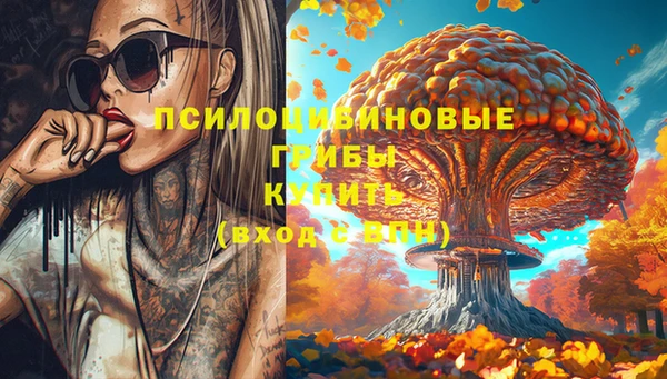 меф Елабуга