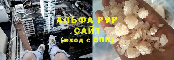 крисы Ельня