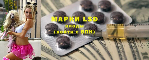 крисы Ельня
