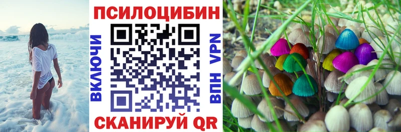 ОМГ ОМГ как зайти  Ефремов  Галлюциногенные грибы Cubensis  закладка 